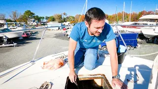 NOTHING BUT ROT – This Deck Core Needs to Come Out!  (MJ Sailing – Ep 172)