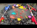 Download Lagu Mainan Anak Memancing Ikan Di Sungai, Ikan Hias, Ikan Koi, Ikan Nemo, Ikan badut, Ikan Marlin, paus