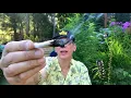 Sour Diesel Cannabis Marijuana Weed Strain Review