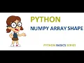 Numpy array shape