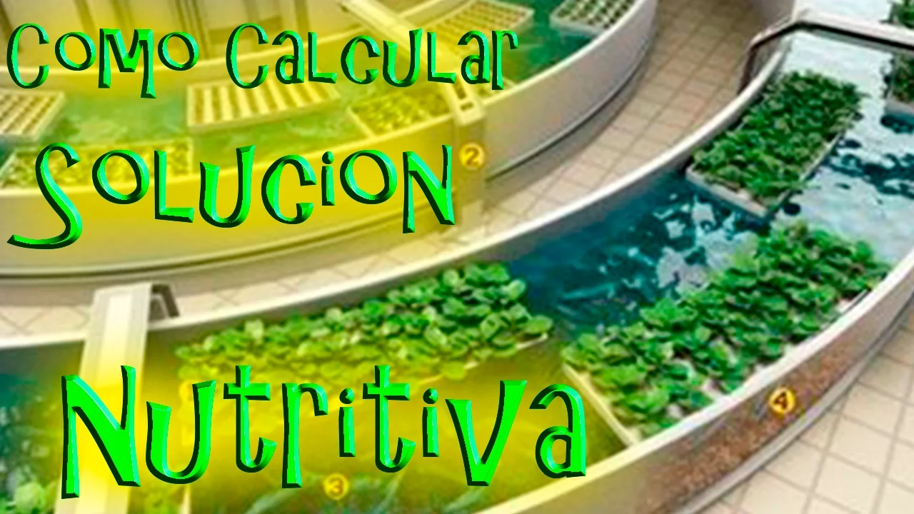 Como calcular Solución Nutritiva (Macronutrientes) || México Verde