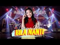 Download Lagu Bila Nanti - Lutfiana Dewi (Official Music Video ANEKA SAFARI)
