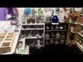 Metaphysical Stores in Virginia