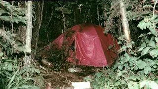 5 Horrifying Clues Left by Stranded People Beyond Rescue
