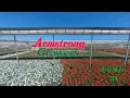 Armstrong Nursery