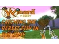 Wizard101 Catching the RAREST FISH IN GAME
