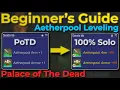 How to Aetherpool in Palace of the - 100 Solo