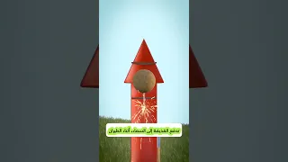 كيف تعمل الألعاب النارية Shorts 