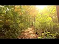 Download Lagu Al Kahf (18) By Sheikh Abdallah Al Matrood ( la cave)