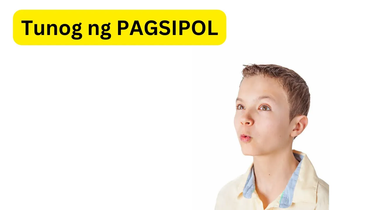 Tunog ng PAGSIPOL | Sound of WHISTLE Tunog ng PAGSIPOL | Sound of WHISTLE