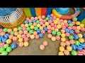 Download Lagu Ayam Lucu Luar Biasa, Ayam Lucu Dunia, Ayam Warna Warni, Bebek Lucu, Kucing, Kelinci, Hewan Lucu