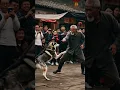 Download Lagu That old guy beat the hell out of a husky with his kung fu moves! #kungfu