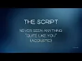 Download Lagu The Script - Never Seen Anything \