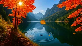 Whispers Of Autumn ه م سات الخريف 