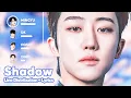 SEVENTEEN - Shadow (Line Distribution + Lyrics Karaoke) PATREON REQUESTED