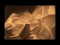 so my darling-rachel chinouriri slowed