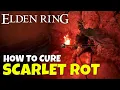 Elden Ring How to Cure Scarlet Rot