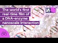 Lagu The world's first real-time film of a DNA-enzyme nanoscale interaction | Attacking a virus