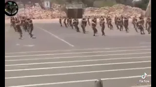بلدنا ف القلوب متشاله  دندنها