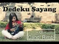 Dedekku Sayang - Lion and Friends ( Fadila Cover)
