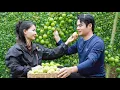 Lagu Toan and Tu Diem went apple picking together and they had a lot of fun...