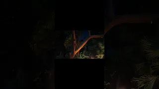 يومين و ليله Life Shorts Fyp 