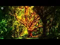 樹海の神秘 雨音アレンジ/Secret of the Forest Rainy remix【Chrono Trigger】【クロノトリガーBGM】
