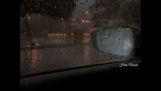 حبك مفرحني فرح طير  بطيرانه   قربك مريحني راحة الروض بأغصانه وائل جسار اجمل حالات واتس أب حب   دندنها