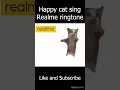 Download Lagu Happy cat sing Realme ringtone #happy #happycat #happycats #realme   #meme  #funny