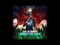 Collie buddz brighter days lyrics