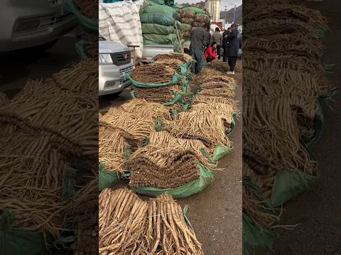 यहां लगता है जड़ों का बाजार 😲