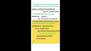 File in Selenium Automation Testing Selenium Java