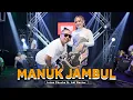 Lagu Intan Chacha feat. Adi Gaclex - Manuk Jambul (Official Music Video)