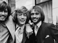 Bee Gees - Don't Forget to Remember - Bee Gees Remember (4/7)