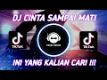 Download Lagu DJ DENGARKANLAH DI SEPANJANG MALAM AKU BERDOA X CINTA SAMPAI MATI - DJ TIKTOK TERBARU 2022