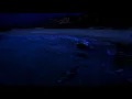 Ambisonic 3 Dimensional Wave Sounds, Deep Sleeping By The Sea with Binaural Audio