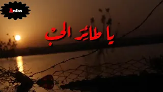 ياطائر الحب   أجمل أغنية       ستسمعها مرثية بصوت محمد خير عواضة دندنها
