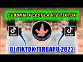 Download Lagu DJ BBHM RIHANA X CEST LA VIE VIRAL TIKTOK || DJ TIKTOK TERBARU 2022