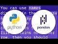 How to add header row to a pandas DataFrame