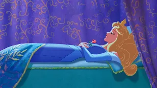 ساحره شريرة عملت سحر علي بنت الملك الجميله وخليتها تنام للابد وعشان السحر يتفك لازم 