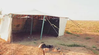 خذتي الغالي الله يسمحك ياموت   دندنها