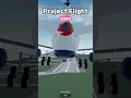 Project Flight 2023 VS 2025