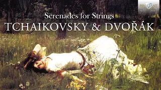 Tchaikovsky Dvorak Serenades for Strings