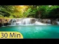 Download Lagu 30 Minute Relaxing Sleep Music, Sleep Meditation, Calm Music, Insomnia, Relax, Study, Sleep, ☯3257B