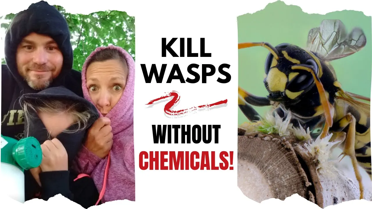 Natural Wasp Spray: Get Rid of Wasps, No Raid Required!