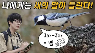 20년의 관찰 끝에 새의 '언어'와 '문법'을 증명한 과학자!