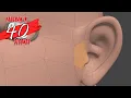 Modo Topology Scripts 324