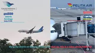 Milquetoast flight as usual IP204 CGK - SUB economy