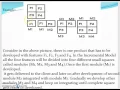 Incremental Process model by srujana