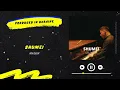 Shumei - Мальви | Нова українська музика 2022